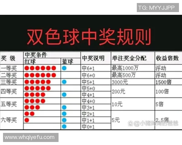 双色球媒体预测分析揭示未来走势助你赢取大奖秘诀